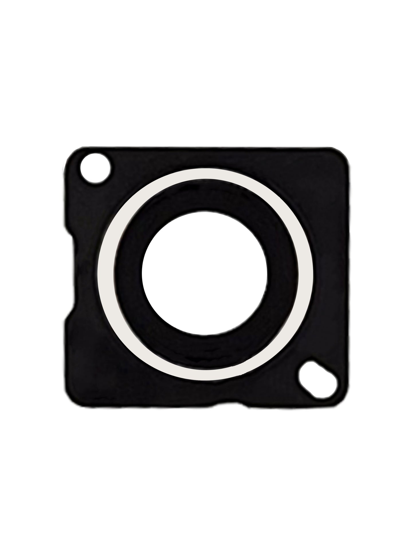 iPhone 5 Camera Lens