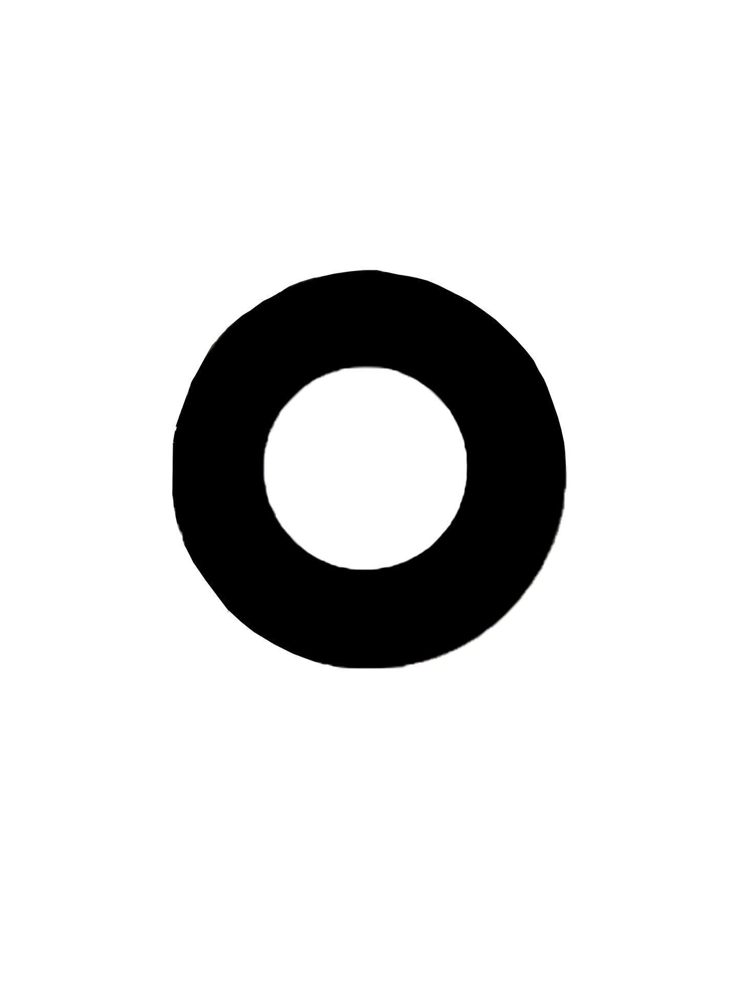 Google Pixel 2XL Camera Lens