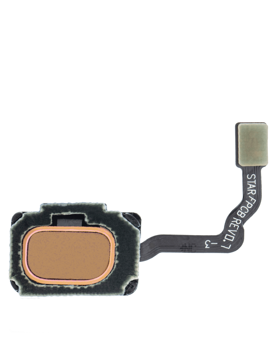 Samsung S9 / S9 Plus Fingerprint Scanner (Gold)