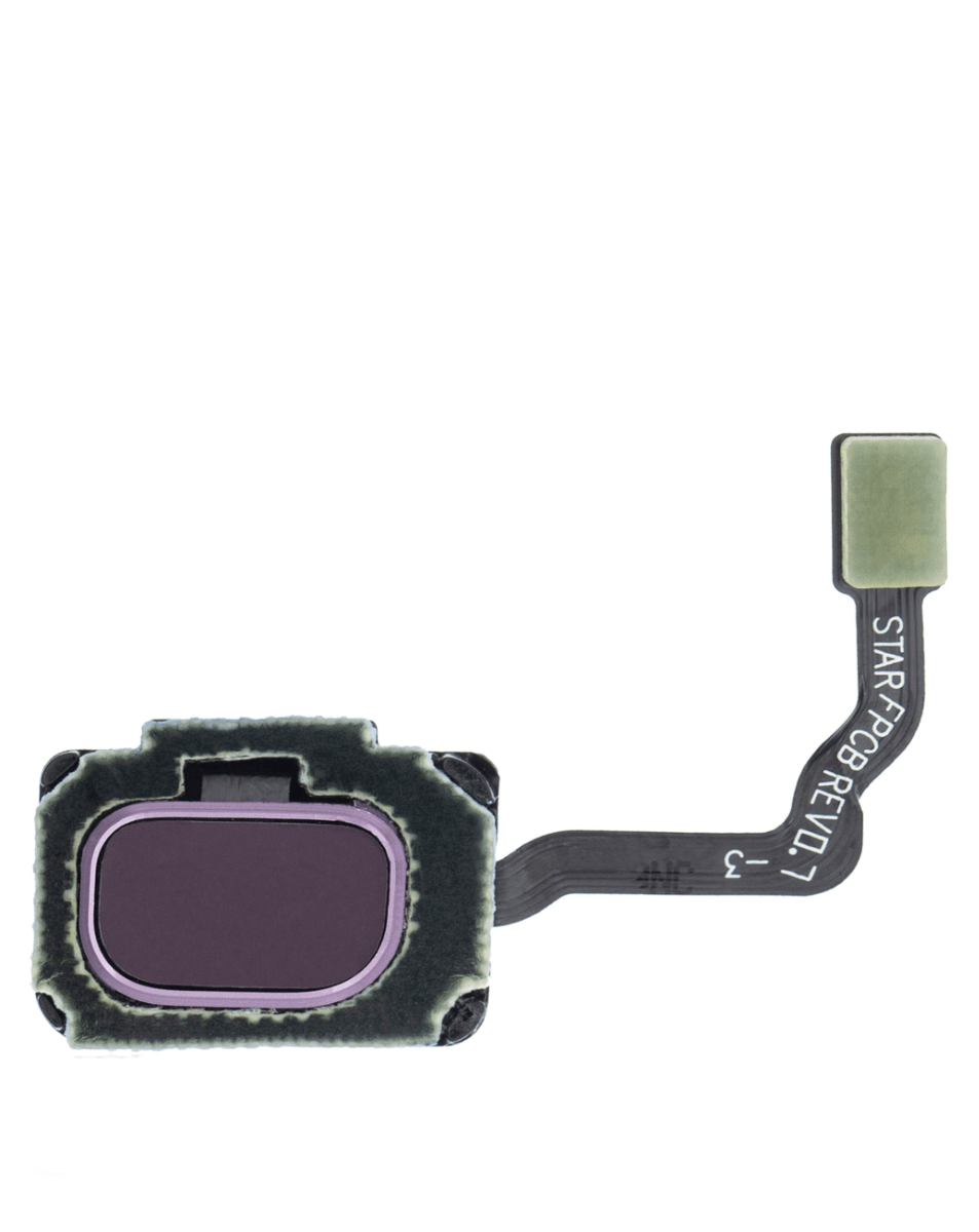 Samsung S9 / S9 Plus Fingerprint Scanner (Purple)