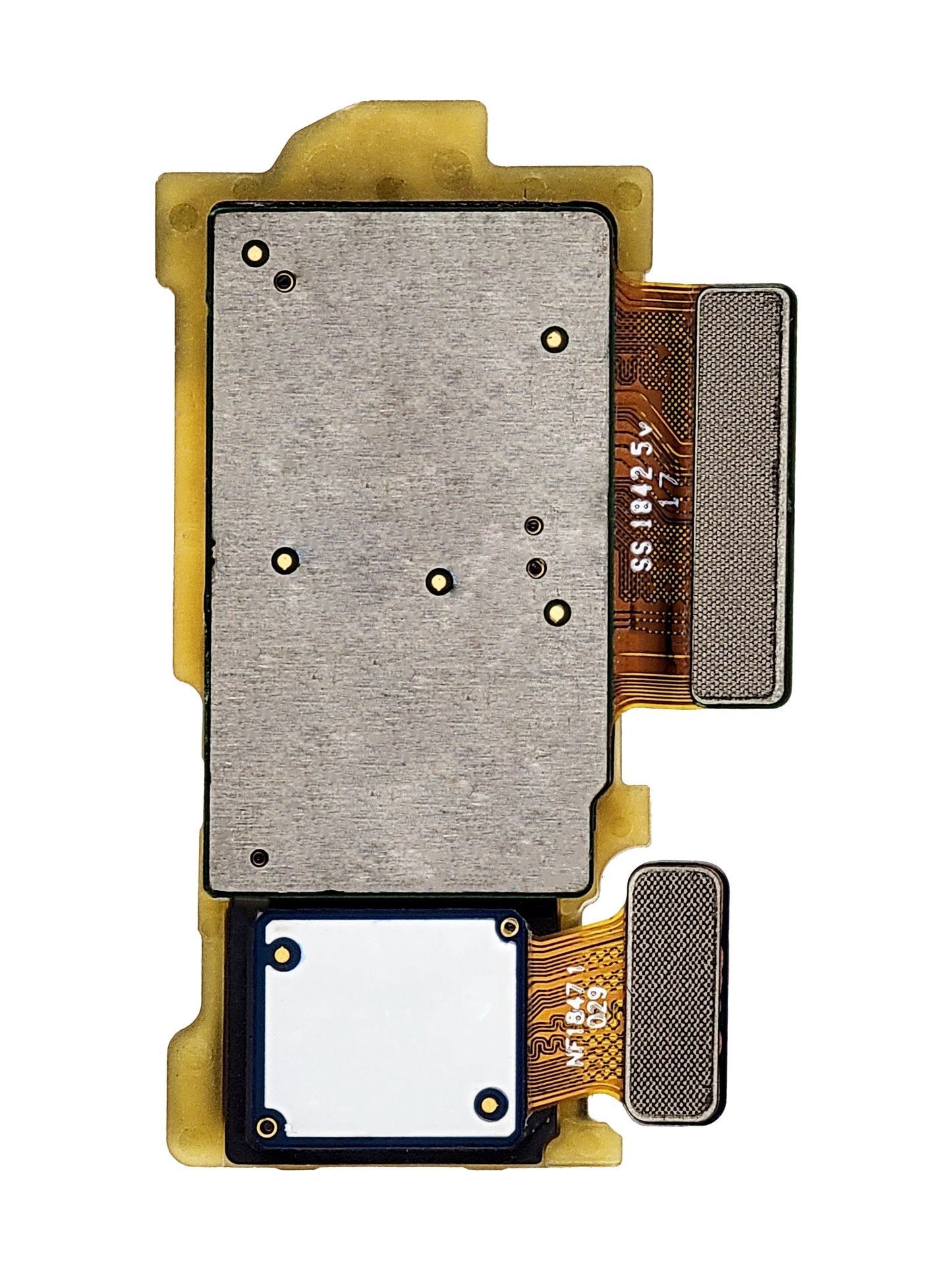 Samsung S10 / S10 Plus Back Camera (USA Version)