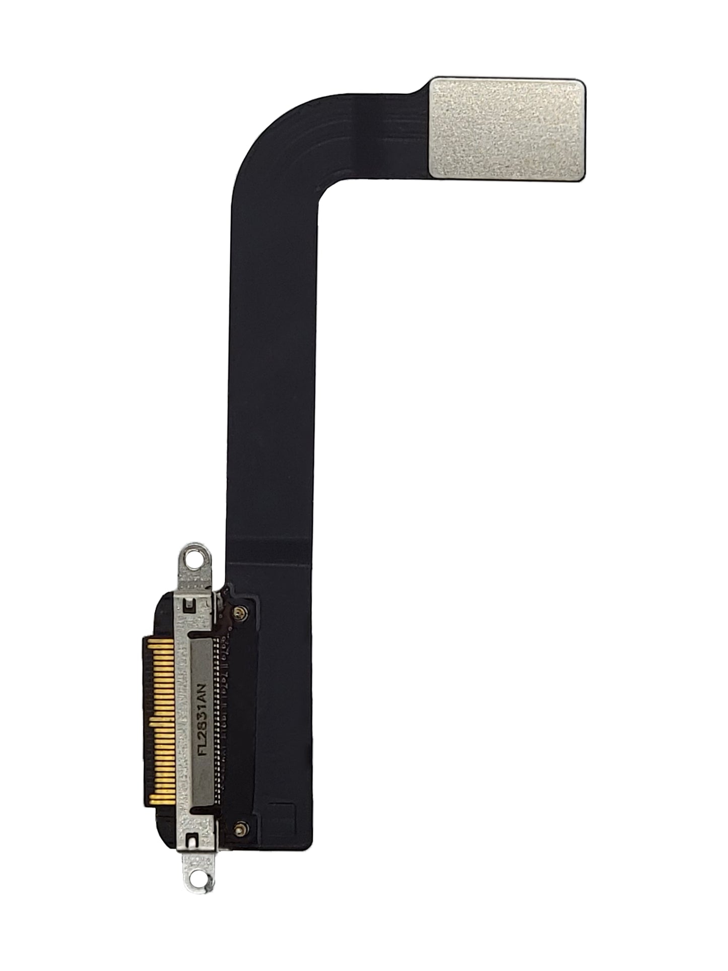 iPad 3 Charging Port