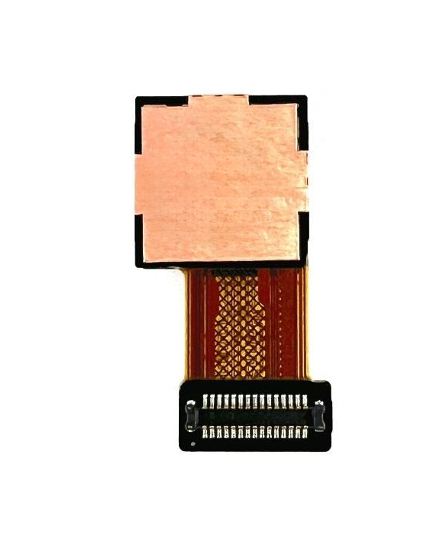 Back Camera for Galaxy A16 5G (A166B / 2024) (Main)